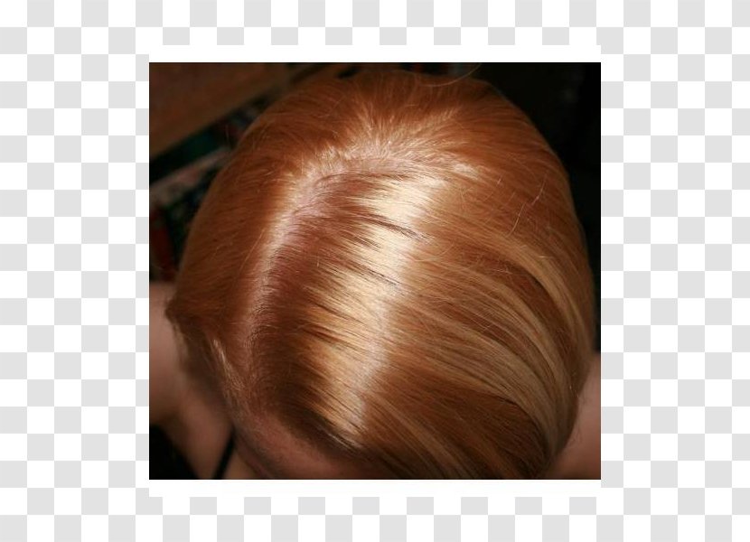 Brown Hair Coloring Blond Garnier Transparent PNG