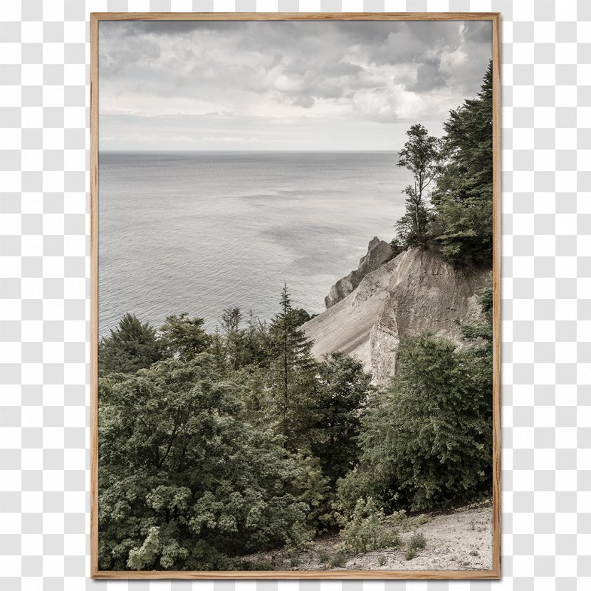 Møns Klint Stevns Cliff Shore Photography - Inlet - Moens Verpakkingen Zele Transparent PNG