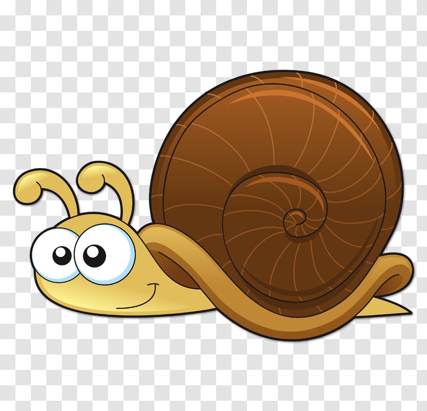 Snails And Slugs Drawing Animation - Cartoon - Snail Transparent PNG