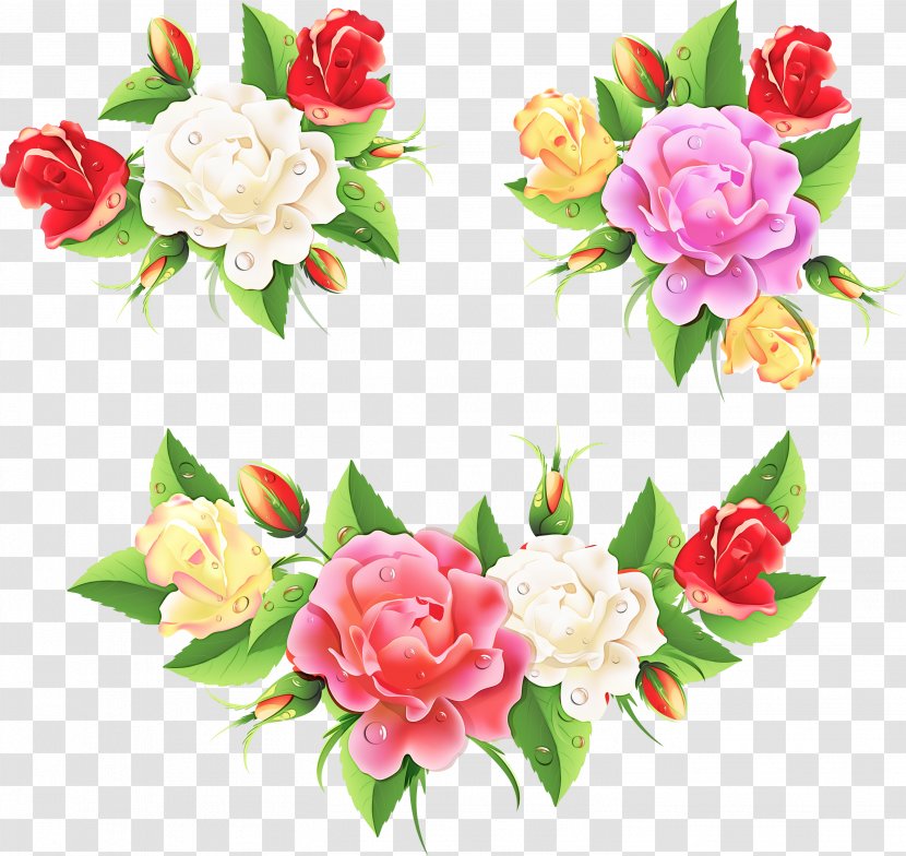 Rose - Cut Flowers - Chinese Peony Transparent PNG