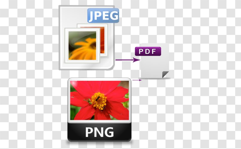 Image File Formats - Multimedia - Technology Transparent PNG