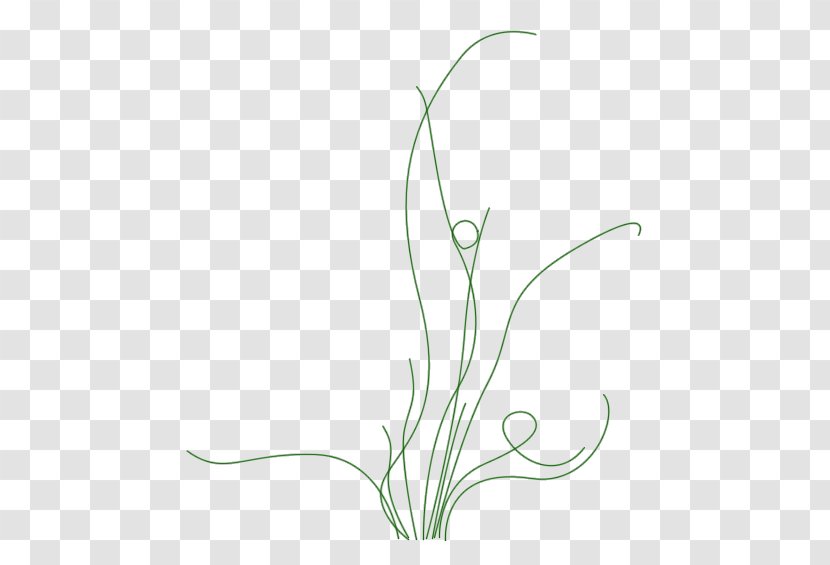 Leaf Purple Pattern - Flora - Grass Transparent PNG