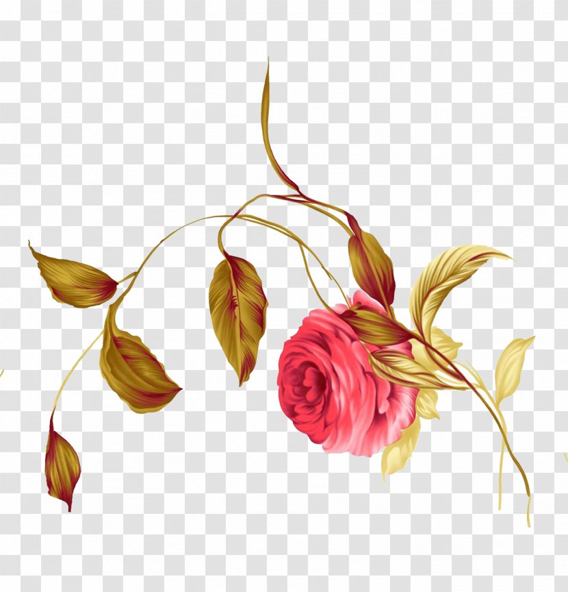 Beach Rose Rosa Multiflora Chinensis Vine - Plant - Illustration Transparent PNG