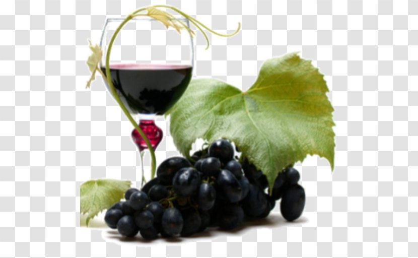 Red Wine Common Grape Vine - Liqueur Transparent PNG