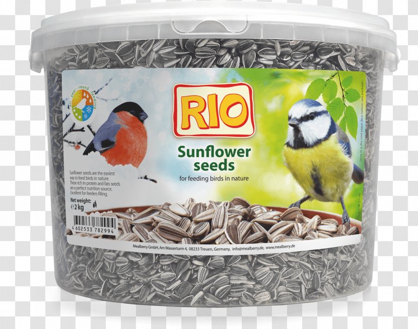 Bird Food Sunflower Seed Common Feeders Transparent PNG