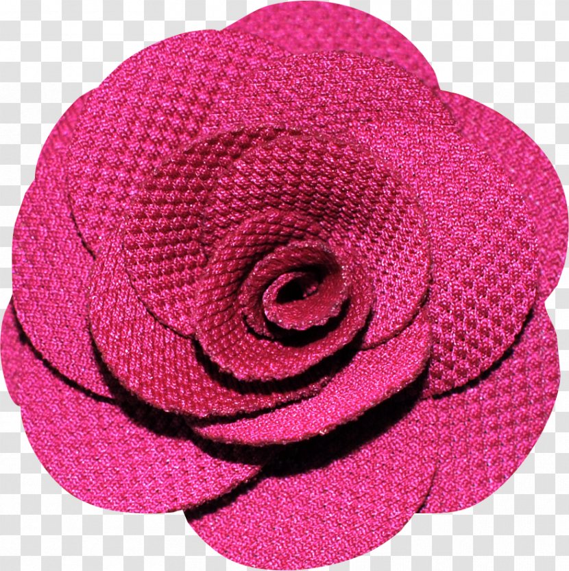 Garden Roses Pink M Cut Flowers Petal - Rose Transparent PNG