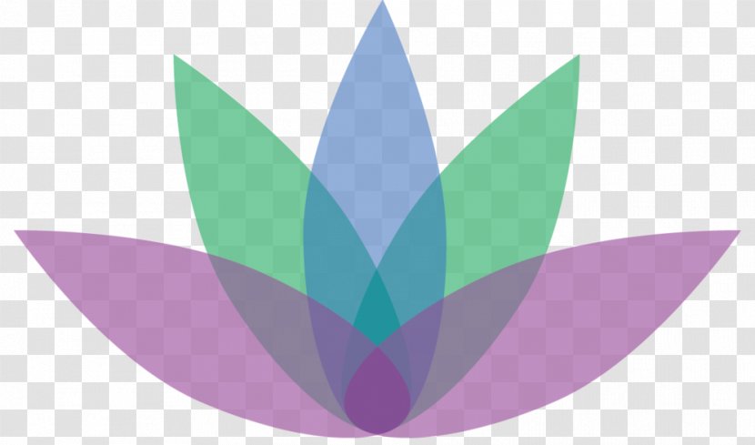 Desktop Wallpaper Computer Leaf Pattern - Petal Transparent PNG