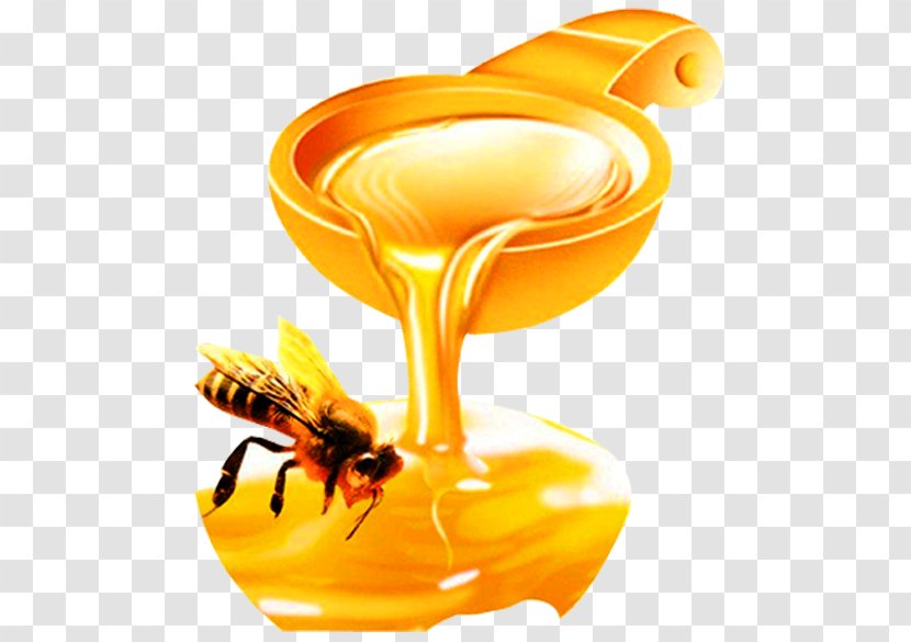 Honey Bee Organic Food Insect - Acacia Transparent PNG