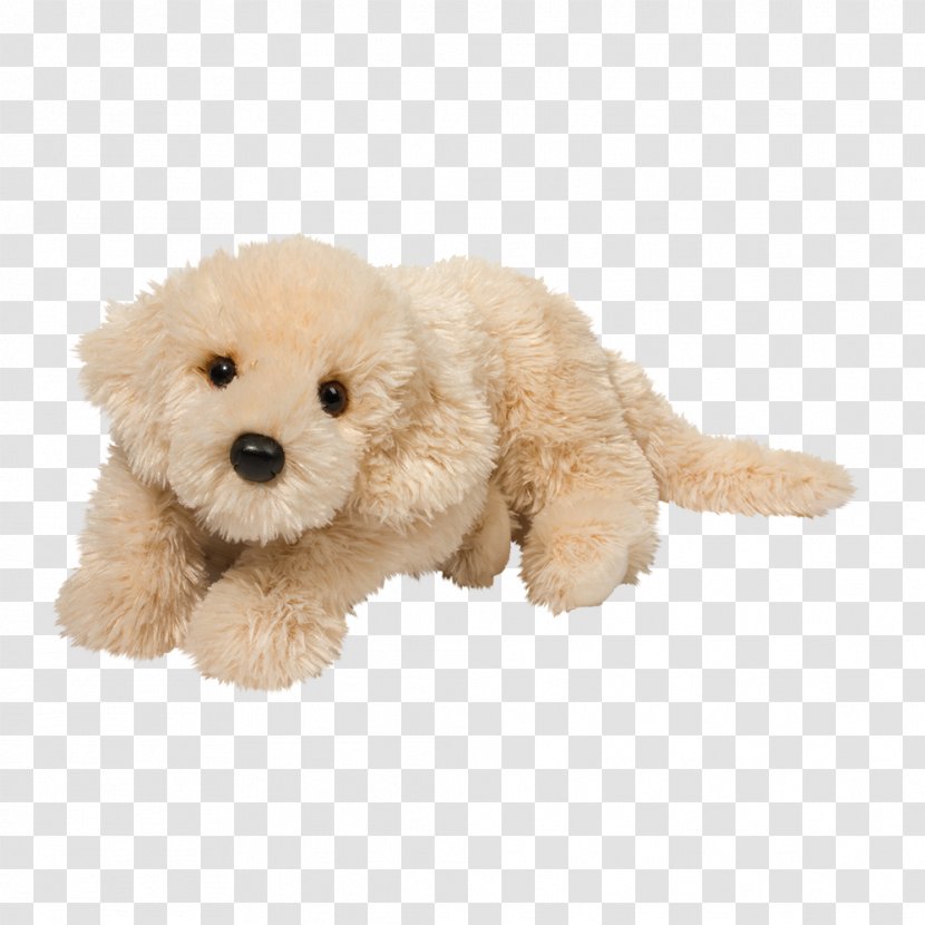 Toy Poodle Cockapoo Miniature Goldendoodle Havanese Dog - Puppy Transparent PNG