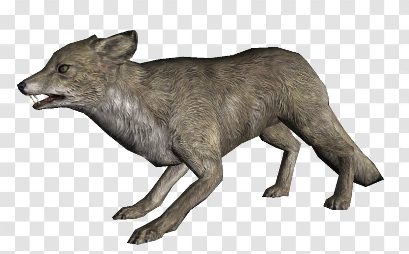 Arctic Fox The Elder Scrolls V: Skyrim – Dragonborn Scrolls: Legends Coyote Gray Wolf - Red Transparent PNG
