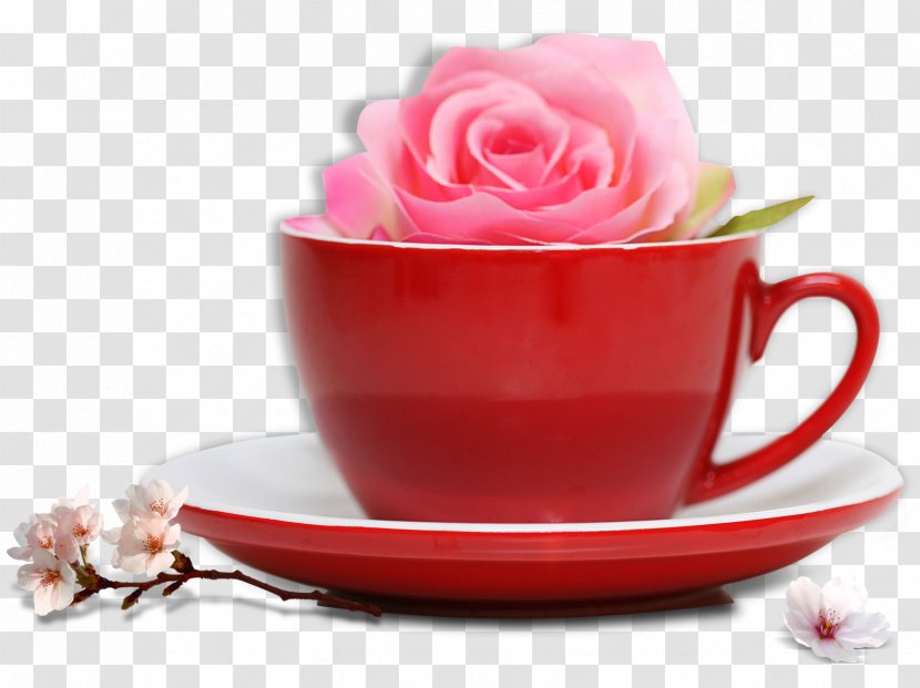 Tea Cup Mug - Saucer - Flower Transparent PNG