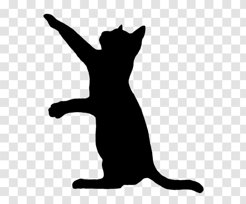 Cat Small To Medium-sized Cats Silhouette Tail Black Cat Transparent PNG