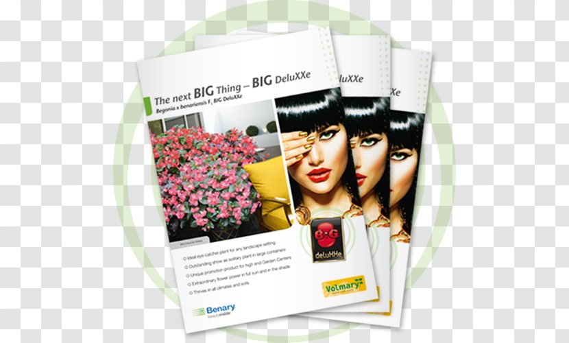 Advertising Flyer Catalog Brochure - Bed Head - Pentas Lanceolata Transparent PNG