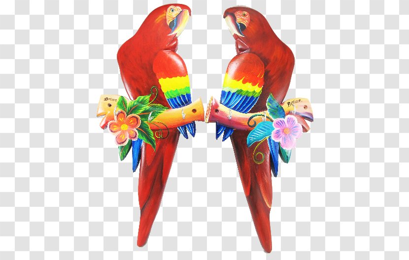 Scarlet Macaw Bird Parakeet Beak - Paper Transparent PNG