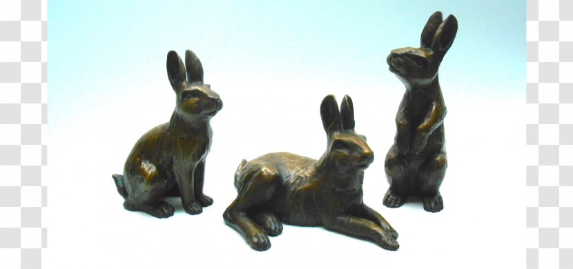 Hare Fauna Animal - Loki Transparent PNG
