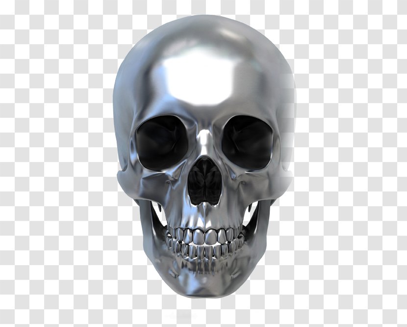 Human Skull Symbolism Metal Calavera - Skeleton Transparent PNG