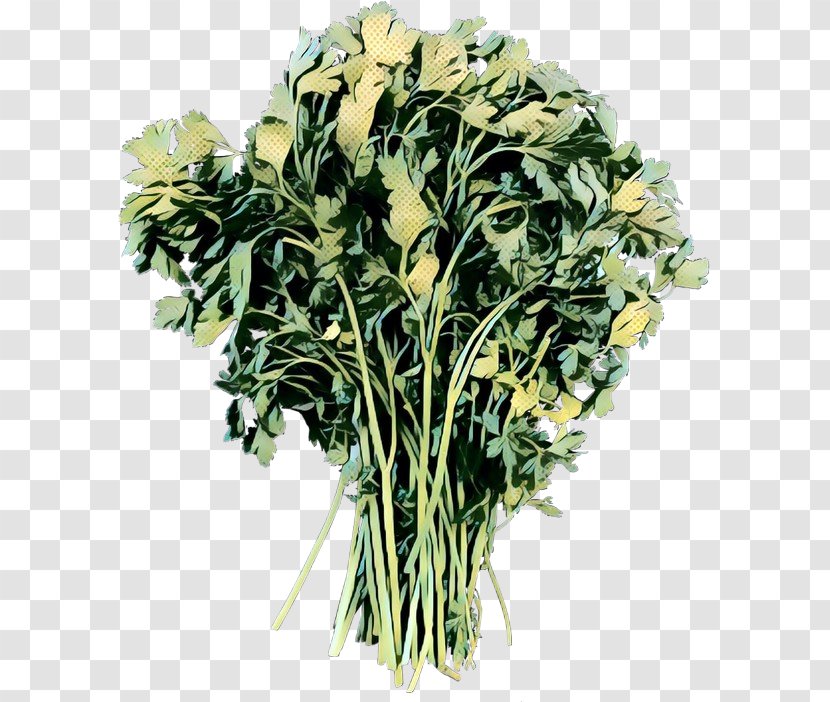 Clip Art Vegetable Greens Food Parsley - Bouquet Transparent PNG