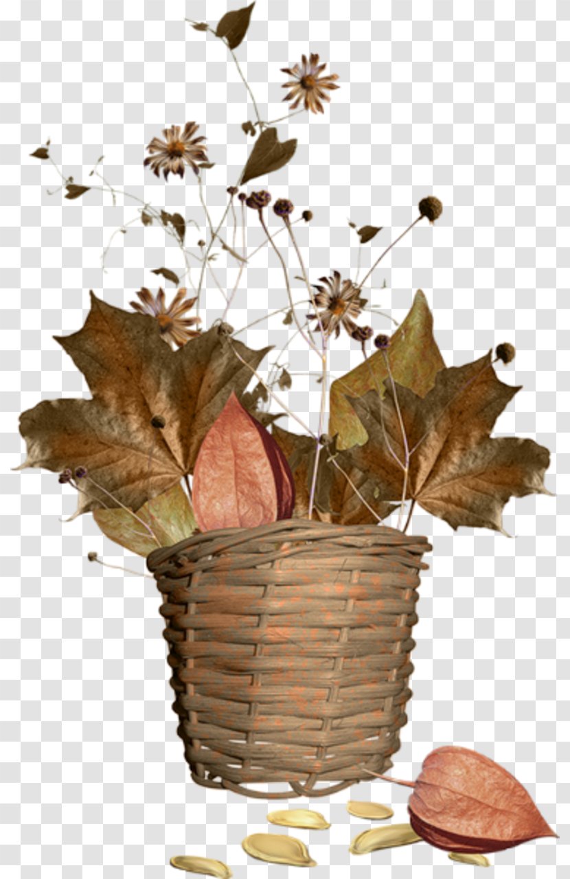 Autumn Season Squirrel Blog - Flower - Deco Transparent PNG