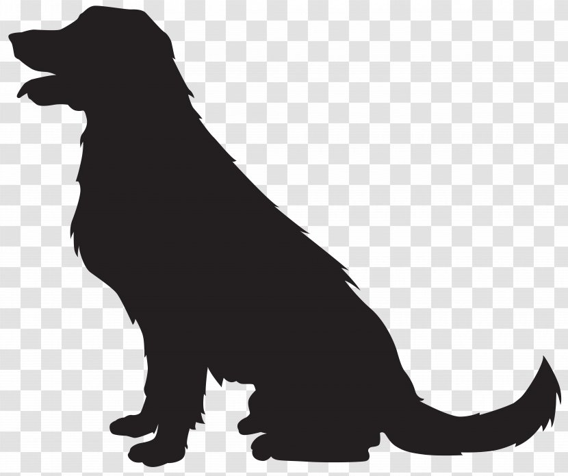 Scotch Collie Cat Silhouette Clip Art - Black And White - Dog Transparent Image Transparent PNG