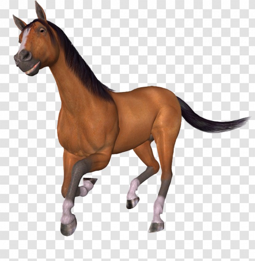 Horse Brush Dither - Running Transparent PNG