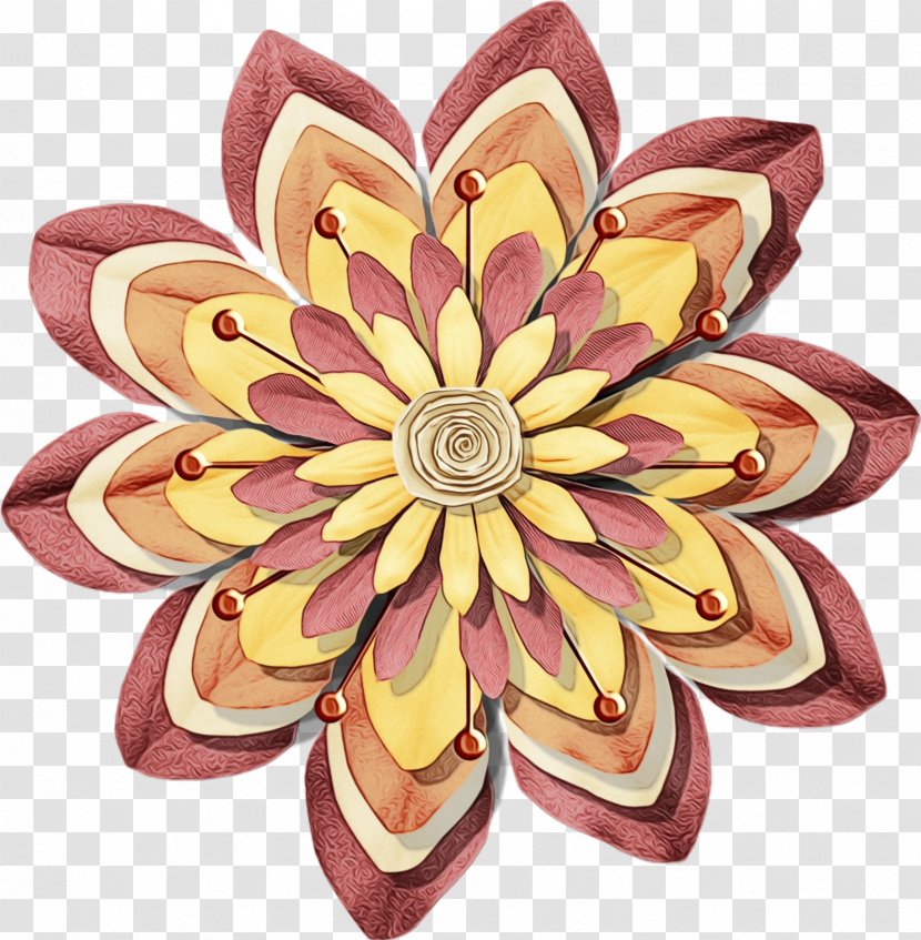Flower Petal Pink Plant Lotus Family - Sacred Cut Flowers Transparent PNG