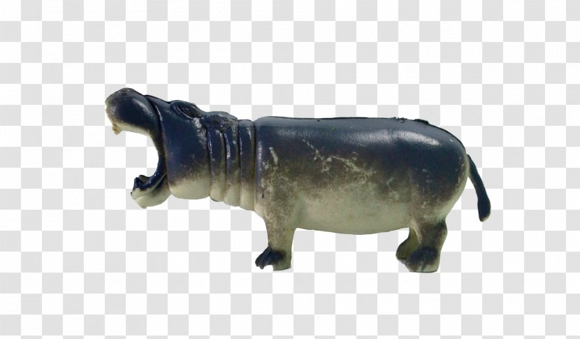 Cattle Hippopotamus Terrestrial Animal Wildlife - Fauna Transparent PNG