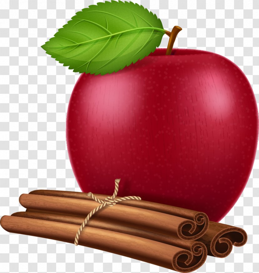 Apple True Cinnamon Tree Illustration - Drawing - Vector Red And Transparent PNG