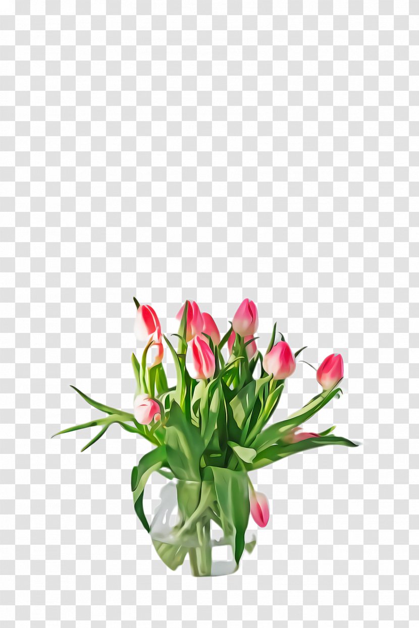 Flowers Background - Bouquet - Grass Anthurium Transparent PNG