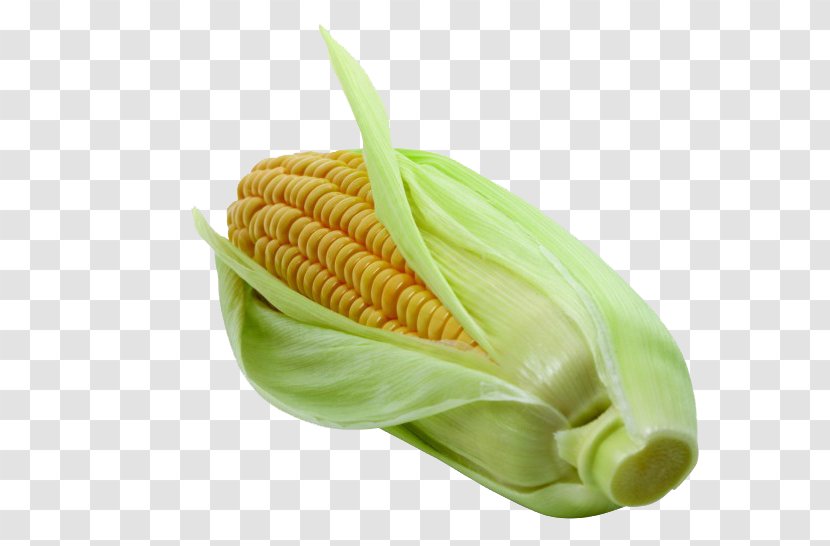 Corn On The Cob Vegetable Maize Napa Cabbage - Sweet Transparent PNG