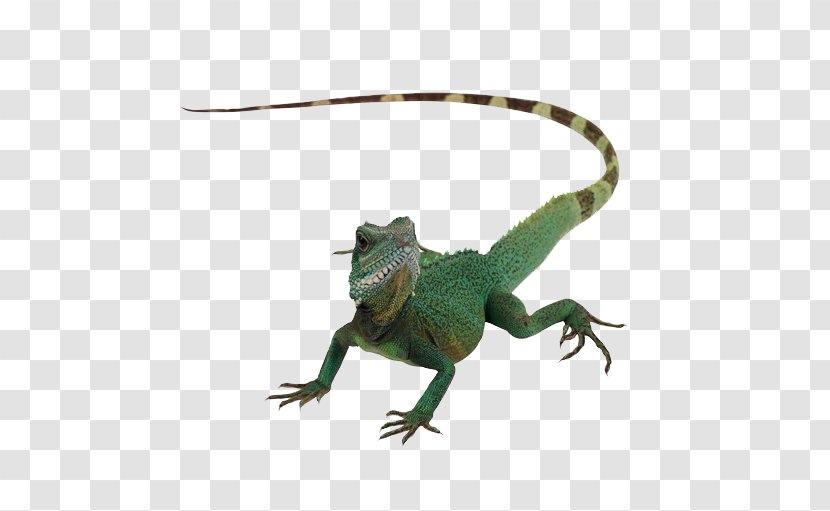 Lizard Reptile Chameleons Komodo Dragon - Pixel - Animal Transparent PNG
