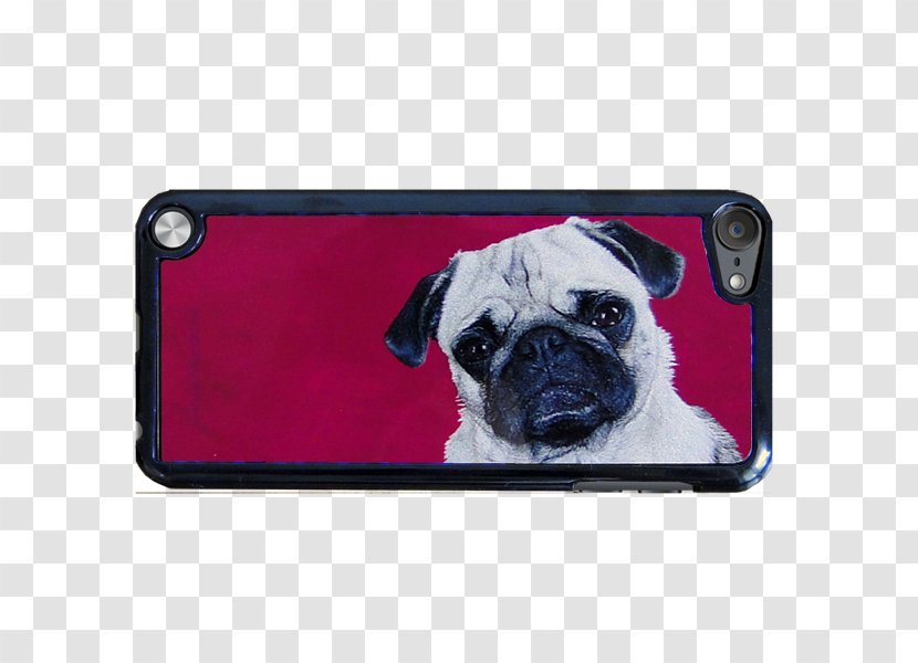 Pug Puppy Dog Breed Toy IPod Touch Transparent PNG