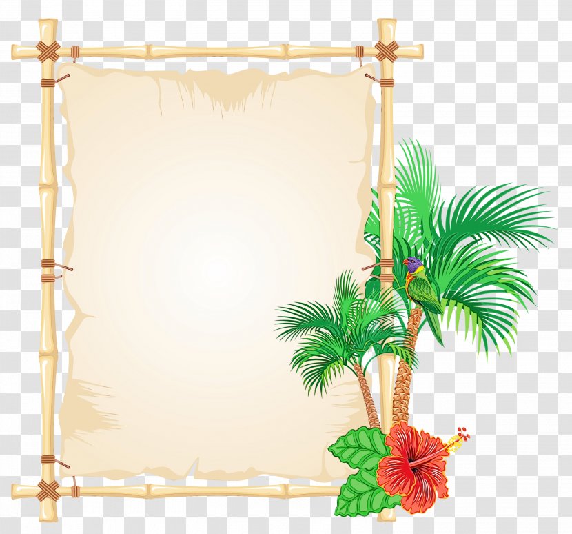 Picture Frames Image Photography Rectangle - Plant - Cdr Transparent PNG