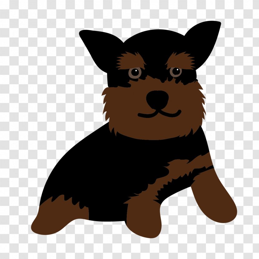 Puppy Yorkshire Terrier French Bulldog Whiskers Transparent PNG