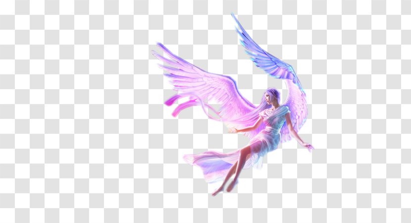 Fairy Desktop Wallpaper New School - Feather - Light Transparent PNG