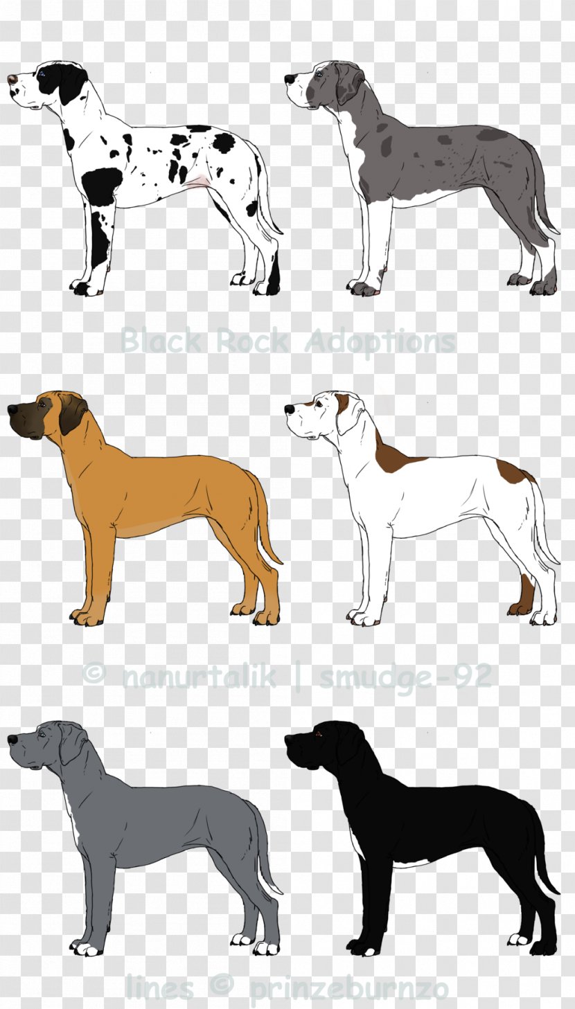 Dog Breed Irish Setter German Wirehaired Pointer English Cocker Spaniel - Pointing - GREAT DANE Transparent PNG