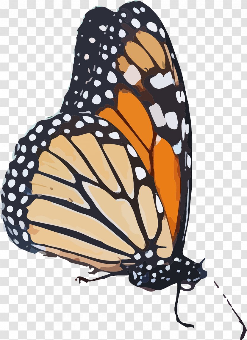 Monarch Butterfly Pieridae Brush-footed Butterflies Clip Art - Arthropod Transparent PNG