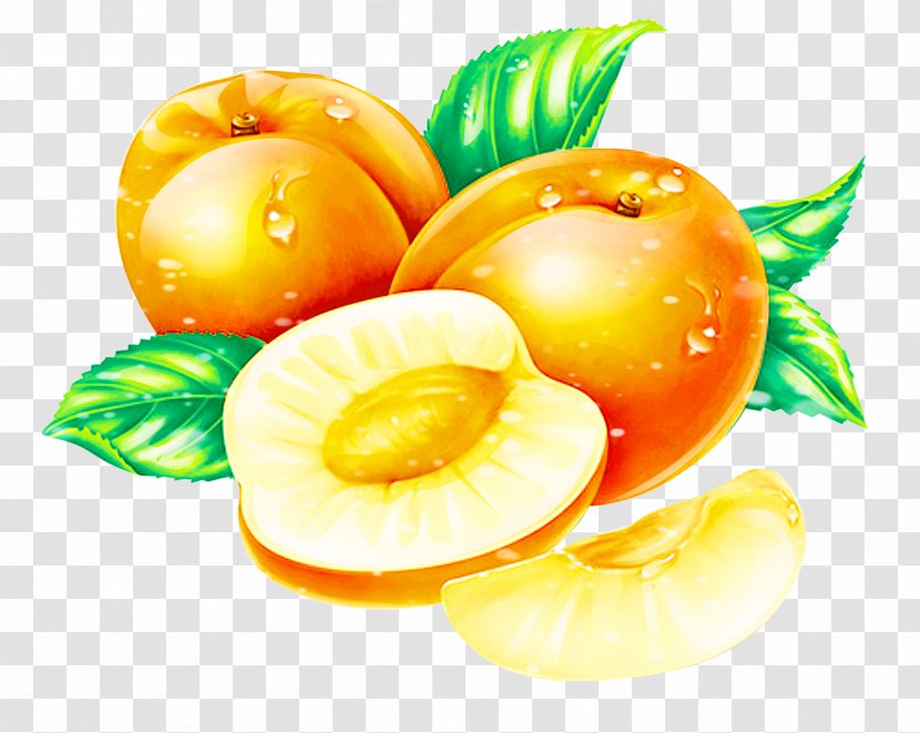 Apricot Peach Fruit - Vegetarian Cuisine Transparent PNG