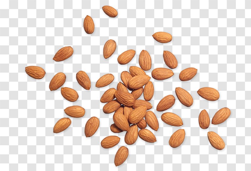 Nut Almond Kind Organic Food - Raw Foodism Transparent PNG
