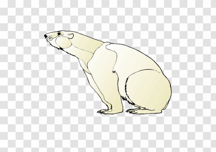 Polar Bear Earless Seal Otter Rabbit - Frame - Hand-painted Transparent PNG