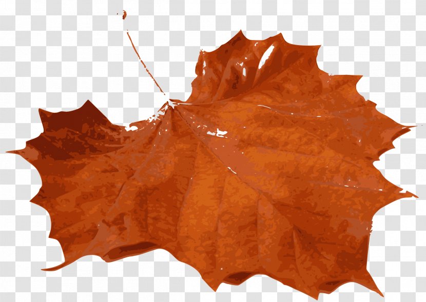 Autumn Leaf Color Clip Art - Leaves Transparent PNG