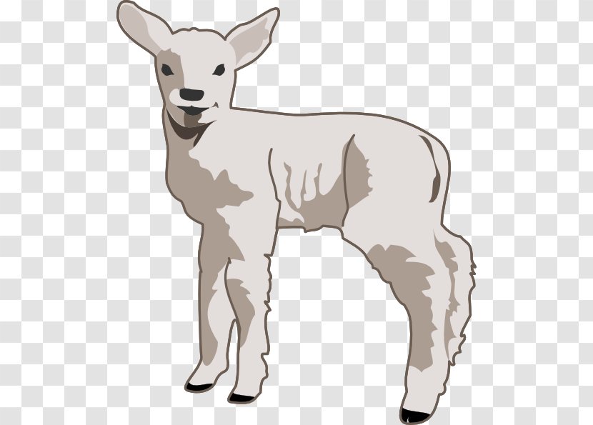 Sheep Goat Clip Art - Tail - Cartoon Lamb Transparent PNG