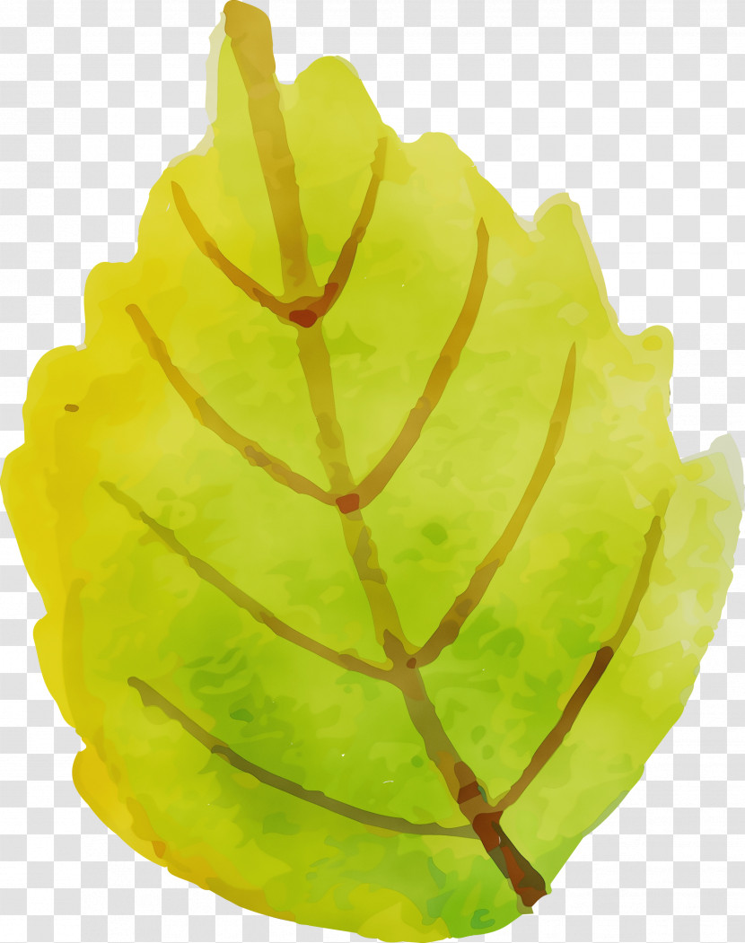 Carambola Leaf Yellow Plant Structure Plants Transparent PNG