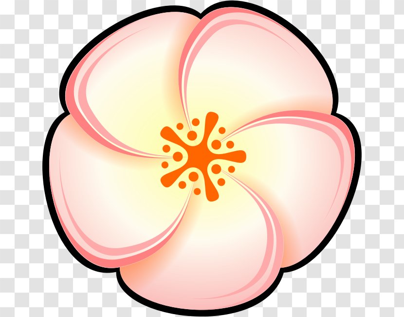 Peach Color Clip Art - Drawing - Flower Transparent PNG