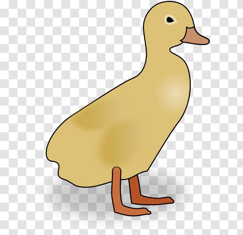 Duck Clip Art - Cartoon - Baby Duckling Pictures Transparent PNG