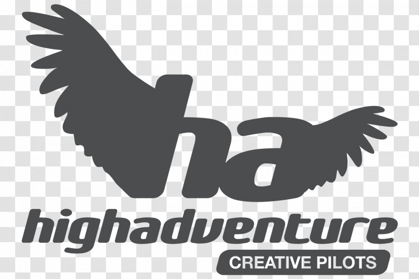 Paragliding High Adventure Wanaka Parachute - Gurtzeug - Ha Transparent PNG