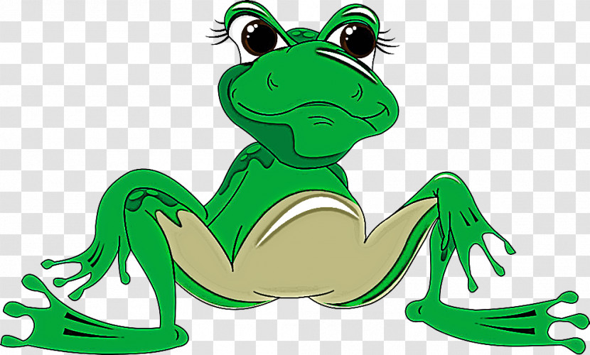 Green True Frog Cartoon Frog Shrub Frog Transparent PNG