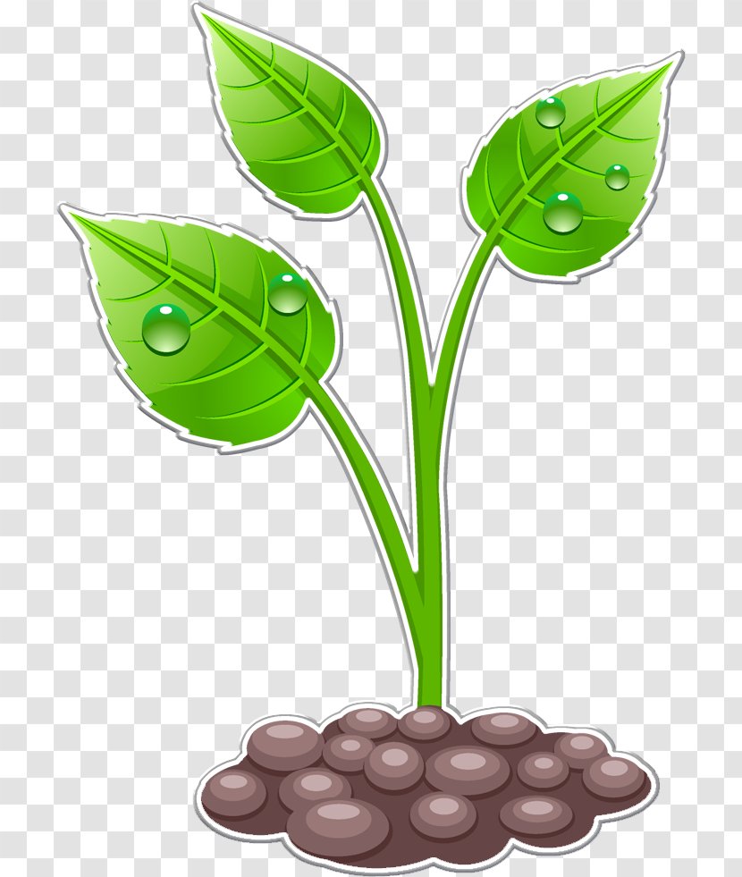 Vector Graphics Clip Art Drawing Stock Illustration - Flowerpot - Plant Transparent PNG