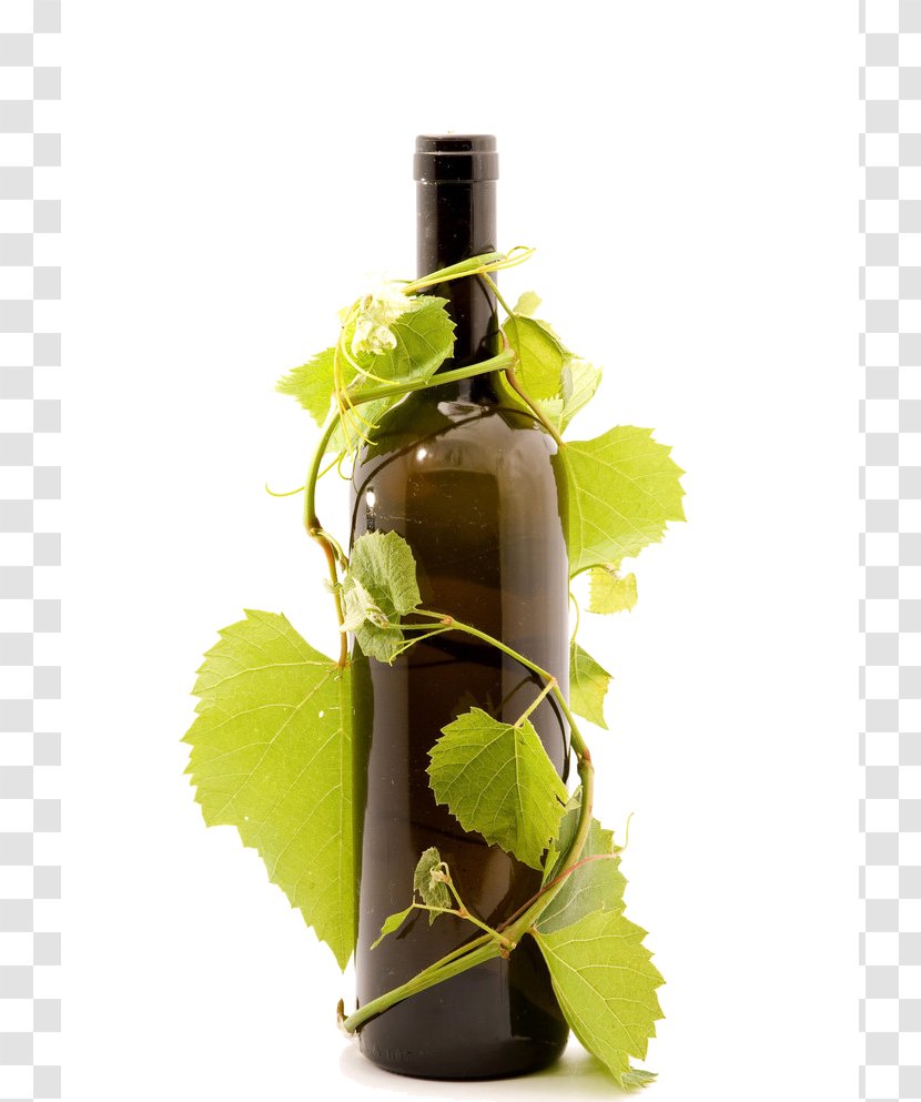 Common Grape Vine Red Wine Bottle - Glass Transparent PNG