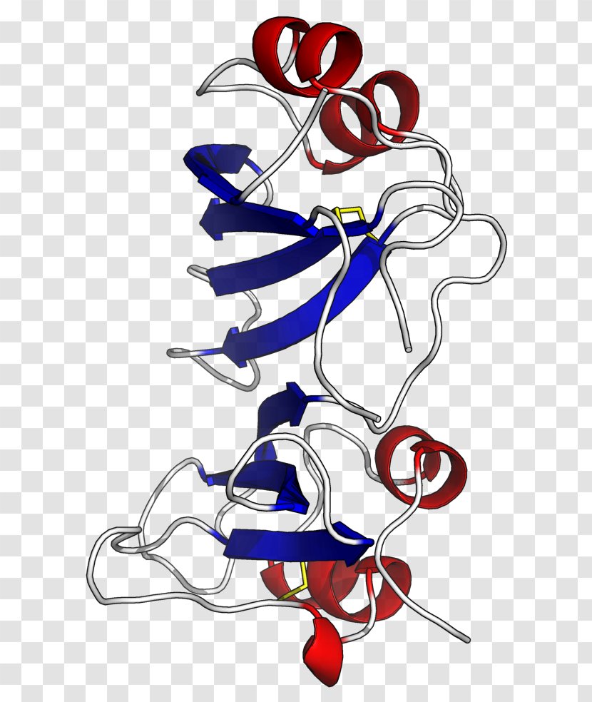 Beta-lactamase Inhibitor Protein β-Lactamase Enzyme - Cartoon - Frame Transparent PNG
