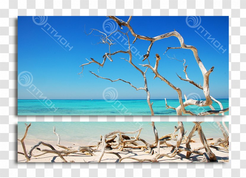 Viñales Valley Cayo Jutías Shore Sea - Sky Transparent PNG